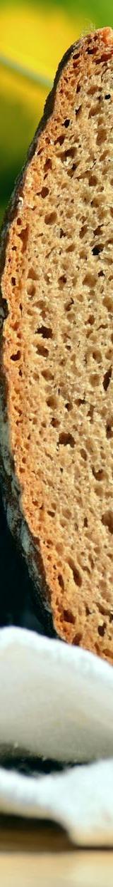 10-Minute Danish Rye Toast with Toppings