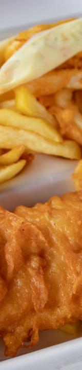 Deep Fried Catfish Filets