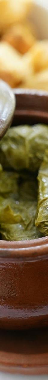 15-Min Dolmades Plate with Lemon Broth