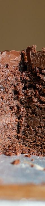 Double Chocolate Fudge Cake