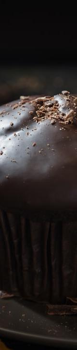 Double Chocolate Muffins