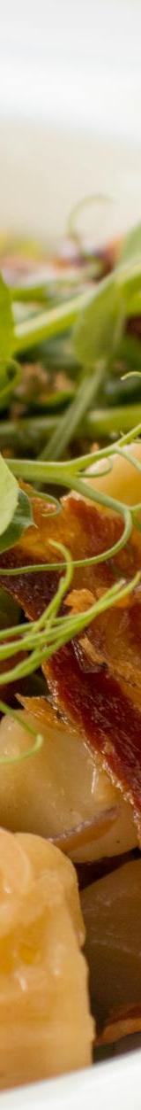 Duck Confit