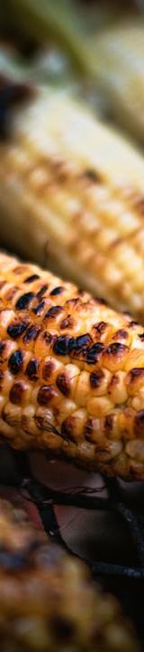 Elote Street Corn