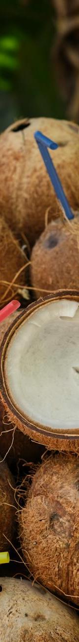 Fresh Coconut Water Cooler