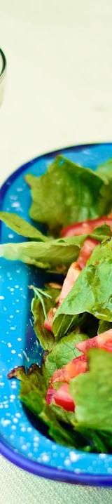 Fresh Nopal Salad with Lime & Cilantro