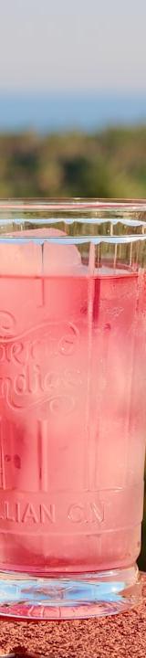 Fresh Watermelon Juice with Mint