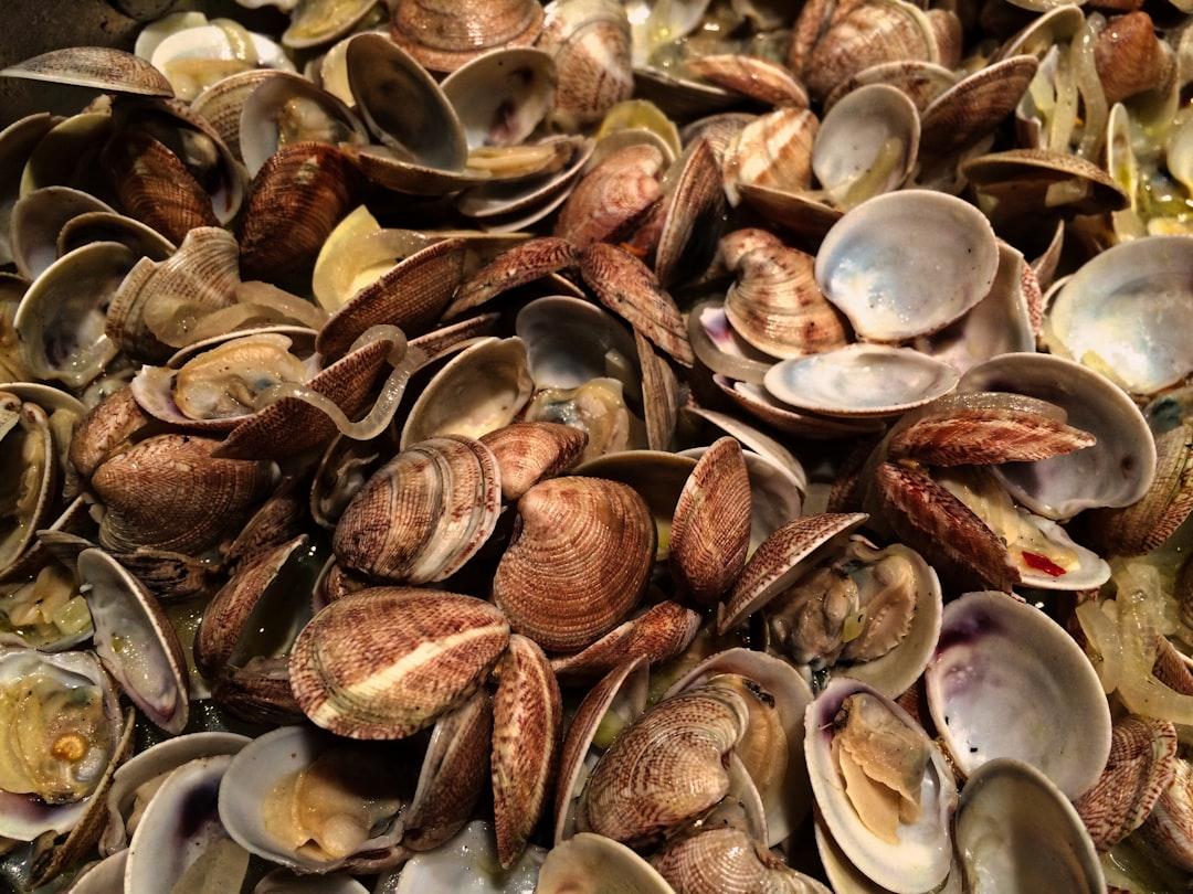 Garlic Butter Clams — Amêijoas à Bulhão Pato