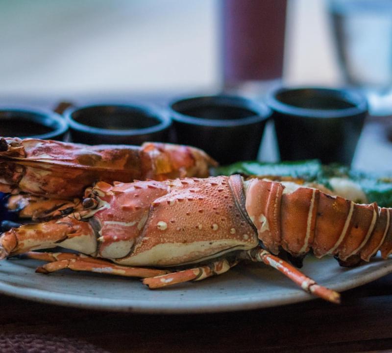 Garlic Butter Grilled Lobster Tails