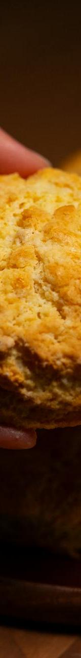 Golden Cheddar Garlic Butter Biscuits