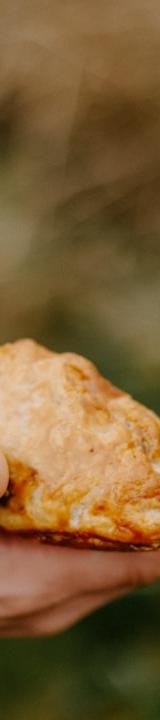 Golden Cinnamon Apple Hand Pies