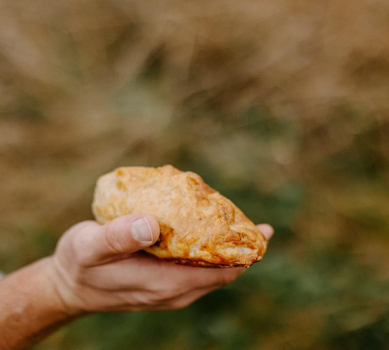 Golden Cinnamon Apple Hand Pies