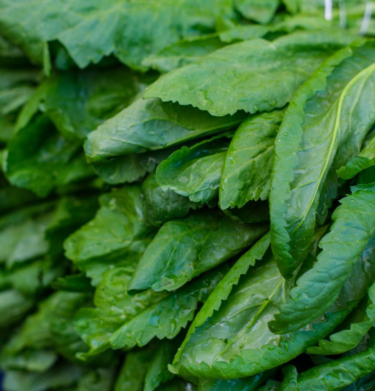 Gomen (Ethiopian Collard Greens)