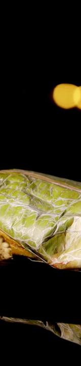 Greek Cabbage Rolls with Herbs & Rice