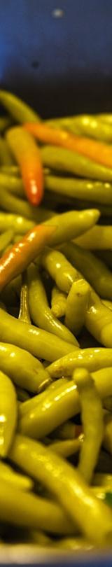 Greek Green Beans (Fasolakia)