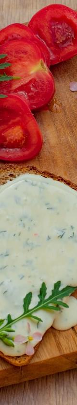 Greek Tzatziki