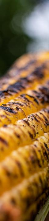 Grilled Corn on the Cob