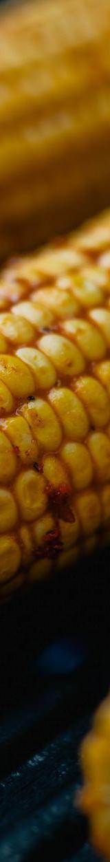 Grilled Corn on the Cob