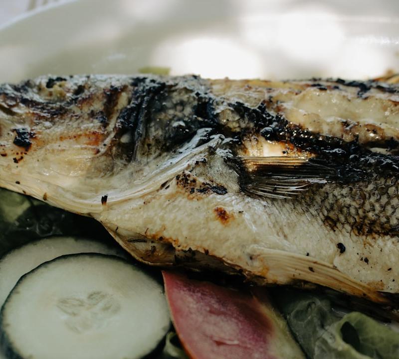 Grilled Dorade with Tomato & Cucumber Salad