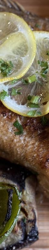 Grilled Fish with Tahini Sauce