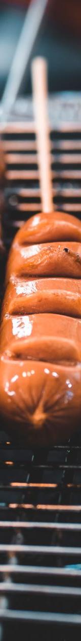 Grilled Hungarian Sausage & Meat Skewer Dinner