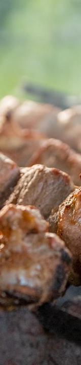 Grilled Lamb Kebab