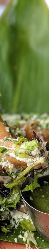 Grilled Nopal Salad with Lime & Cotija