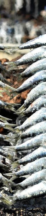 Grilled Portuguese Sardines with Lemon