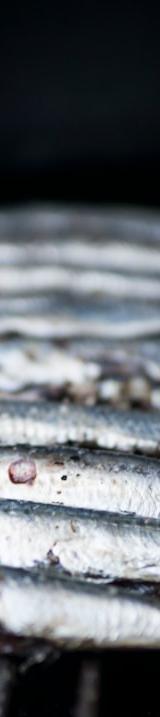 Grilled Sardines with Lemon & Sea Salt