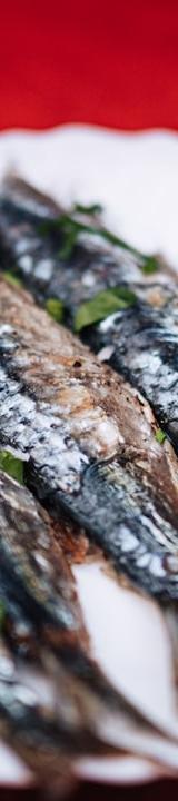 Grilled Sardines with Coarse Salt & Lemon