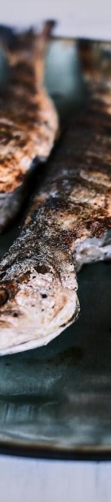 Grilled Tsipoura with Lemon & Oregano