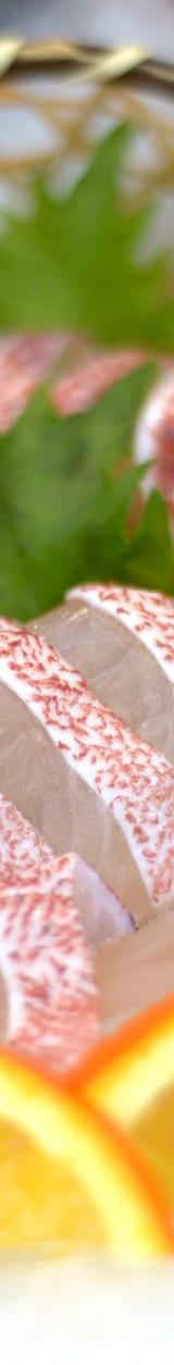Hamachi Sashimi