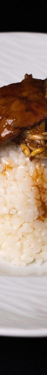 Hayashi Rice