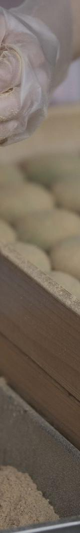Homemade Mochi with Kinako & Red Bean