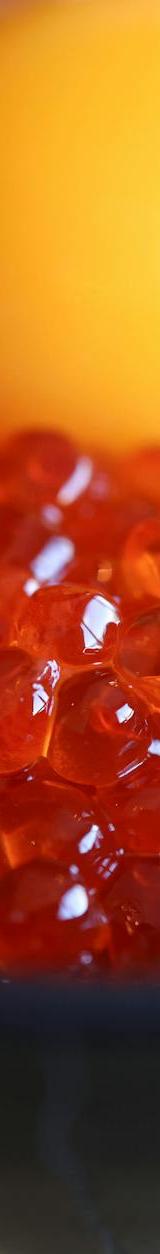 Japanese Salmon Roe Rice Bowl