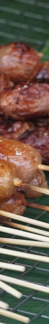Isaan Sausage