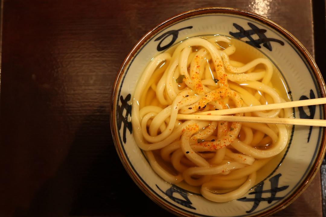 Japanese Udon Noodle Soup