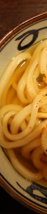 Japanese Udon Noodle Soup