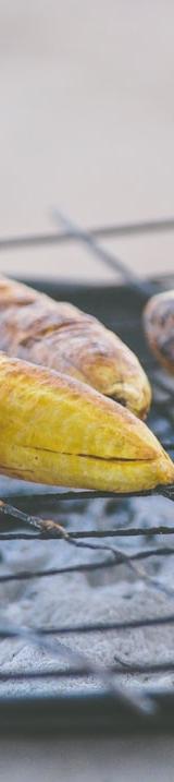 Kelewele