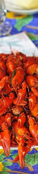 Kräftskiva: Swedish Crayfish Boil