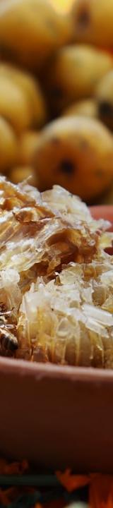 Lauki Ka Halwa