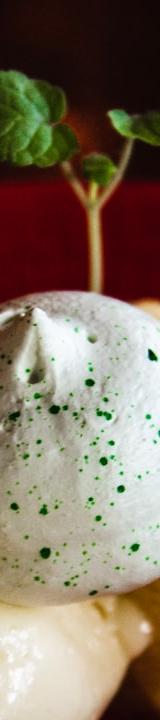 10-Min Lemon Curd & Torched Meringue