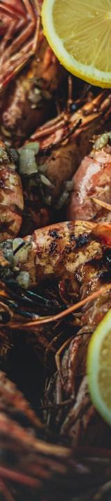 Lemon Garlic Shrimp