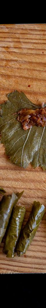 20-Minute Lemon Grape Leaf Rolls