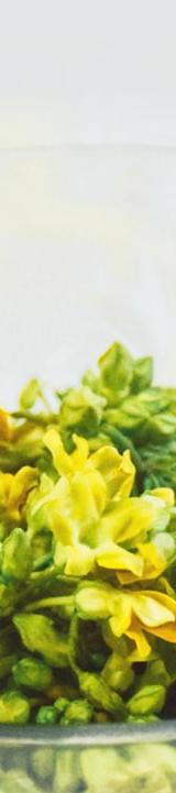 Lemon Herb Orzo Salad