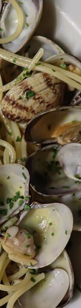 Pasta with Clams in White Wine