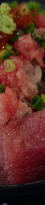 Maguro Zuke Don