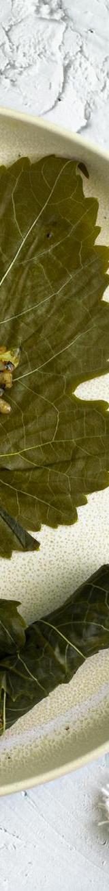 20-Min Mahshi — Stuffed Grape Leaves