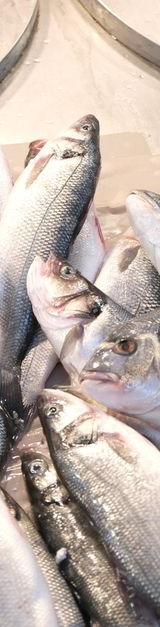 Mediterranean Baked Sea Bass
