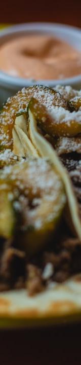 Mexican Shredded Beef