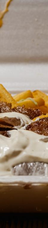 Mixed Gyro Plate